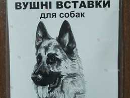 Вставки у вуха для поставу вух у цуценят німецької вівчарки - VDALA.PRO