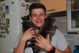 Єнотики пустуни - VDALA.PRO