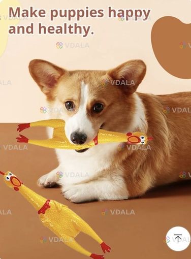 Кричащий петух для собак Кричащий петух для собак - VDALA.PRO