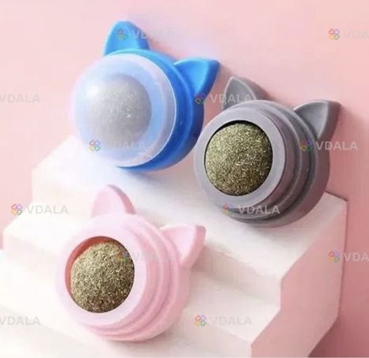 Кошача мята Кошача мята - VDALA.PRO