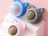 Кошача мята - 1 Кошача мята - VDALA.PRO - 1