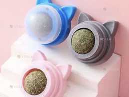 Кошача мята - VDALA.PRO