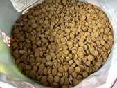 Корм для собак ветчина, курица, баранина. Thank'Q 10кг. Собачий корм - VDALA.PRO - 2