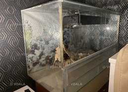 Террариум для ящериц - VDALA.PRO