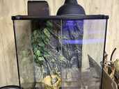 Террариум - VDALA.PRO - 1