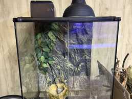 Террариум - VDALA.PRO