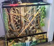 Террариум - VDALA.PRO