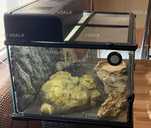 Террариум - VDALA.PRO - 2