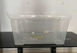 Контейнер террариум - VDALA.PRO