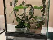 Террариум под ключ - VDALA.PRO - 1