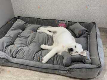 Лежанки для собак и кошек - VDALA.PRO