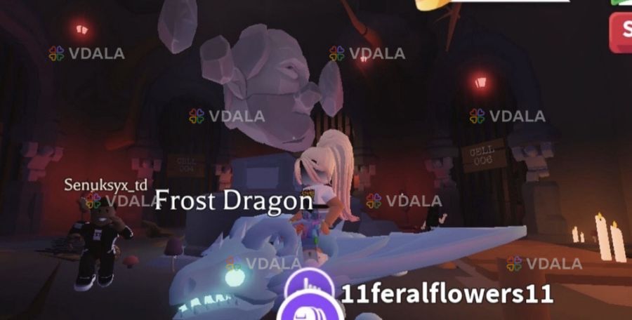 адопт ми петы - VDALA.PRO