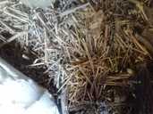 Подрібнювач гілок - VDALA.PRO - 6