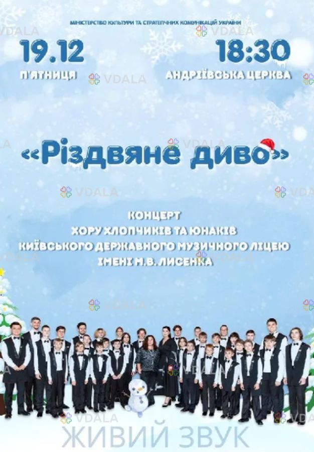 Різдявне Диво - VDALA.PRO