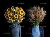 Приворотне зілля - VDALA.PRO - 1