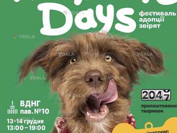 Фестиваль адопціі звірят - VDALA.PRO