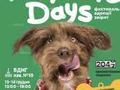 Фестиваль адопціі звірят - VDALA.PRO - 1