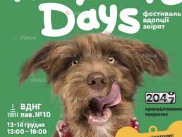 Фестиваль адопціі звірят - VDALA.PRO