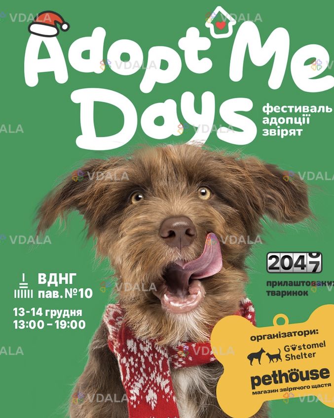 Фестиваль адопціі звірят - VDALA.PRO
