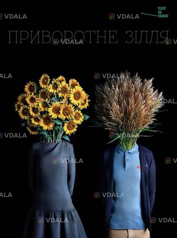 Приворотне зілля - VDALA.PRO