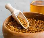 Пилок бджолиний 2025 - VDALA.PRO - 1