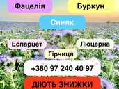 Продам буркун двохрічний жовтий, фацелію, синяк (медоноси) Продам буркун двохрічний жовтий, фацелію, синяк (медоноси) - VDALA.PRO - 1