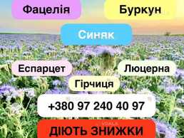 Продам буркун двохрічний жовтий, фацелію, синяк (медоноси) - VDALA.PRO