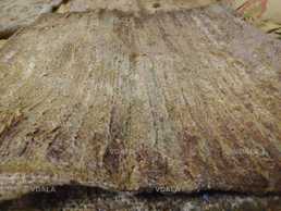 Прополисный холстик - VDALA.PRO