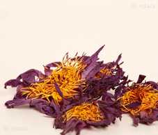 Квіти синього лотоса 50г Квіти синього лотоса 50г - VDALA.PRO