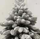 Скидки! Литая искусственная ель премиум! - 3 Скидки! Литая искусственная ель премиум! - VDALA.PRO - 3