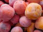 Хурма плоды со своего участка Хурма плоды со своего участка - VDALA.PRO - 1