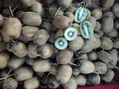 Плоди ківі домашні смачні Плоди ківі домашні смачні - VDALA.PRO - 1