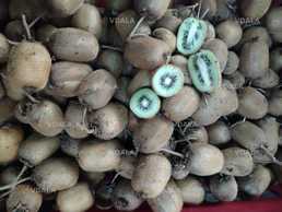 Плоди ківі домашні смачні - VDALA.PRO