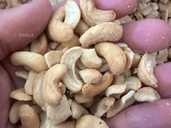 Горіх Кеш'ю - VDALA.PRO - 1