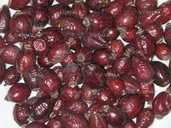 Шипшина сушена - VDALA.PRO - 1