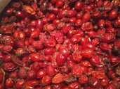 Шипшина сушена 2025 - VDALA.PRO - 1