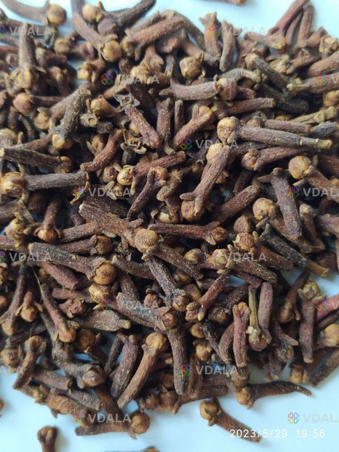 Гвоздика сушена. Приправа. Пряность. - VDALA.PRO