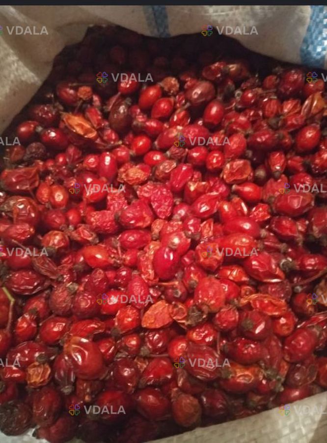 Шипшина сушена 2025 - VDALA.PRO