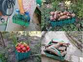 Плетені корзини з упаковочної стрічки. - 7 Плетені корзини з упаковочної стрічки. - VDALA.PRO - 7