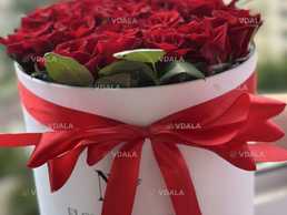 Служба доставки цветов по Харькову. Роза от 15 грн - VDALA.PRO