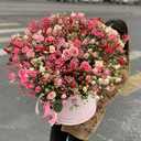 Магазин цветов Днепр Купить цветы Днепр сравнить цены - VDALA.PRO - 9