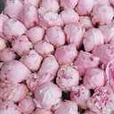 Магазин цветов Днепр Купить цветы Днепр сравнить цены - VDALA.PRO - 12