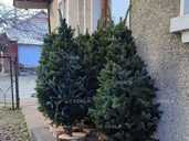 Плетені ялинки опт - VDALA.PRO - 1