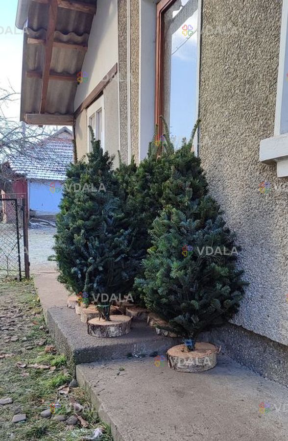 Плетені ялинки опт - VDALA.PRO