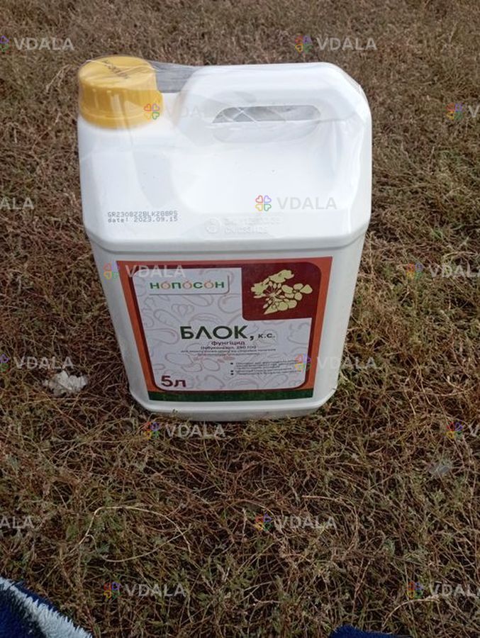 Продам гербициды, фунгициды для пшеницы, ячменя, подсолнечника, сах Продам гербициды, фунгициды для пшеницы, ячменя, подсолнечника, сах - VDALA.PRO