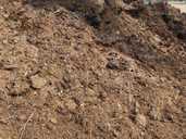 11 куб. 6000 гр. Перегной конский/ компост/ удобрение/ навоз/ чернозем - VDALA.PRO - 1