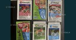 Фунгицид Хорус,Скор, Магникур,Квадрис - VDALA.PRO