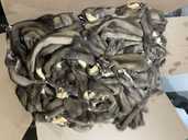 Шкіри куниці вичинені декілька сотень - 1 Шкіри куниці вичинені декілька сотень - VDALA.PRO - 1