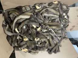 Шкіри куниці вичинені декілька сотень - VDALA.PRO