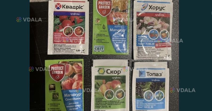 Фунгицид Хорус,Скор, Магникур,Квадрис Фунгицид Хорус,Скор, Магникур,Квадрис - VDALA.PRO